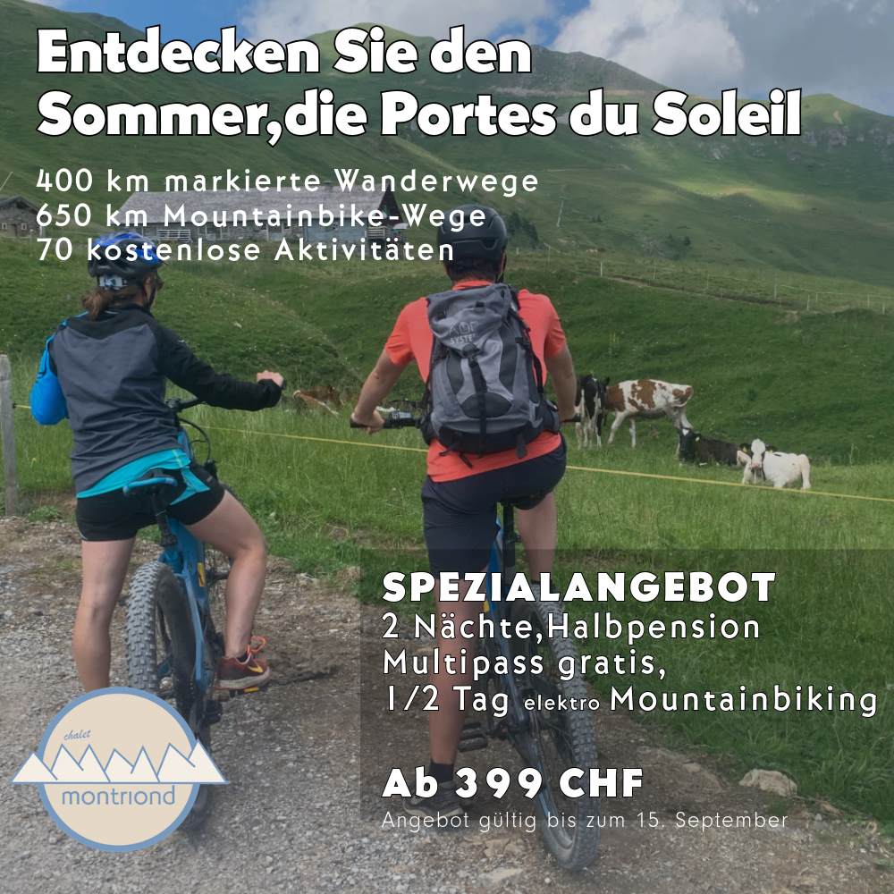 offre ete 2_de