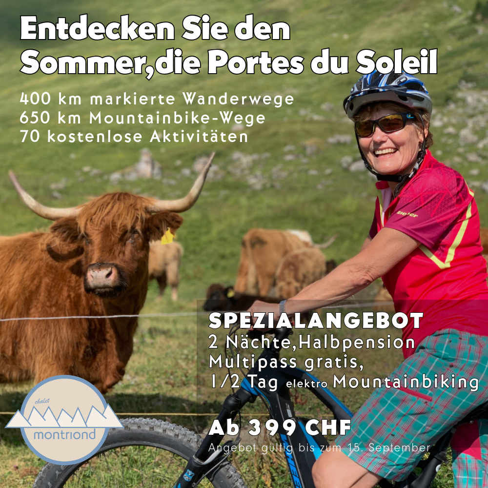 offre ete 4_de