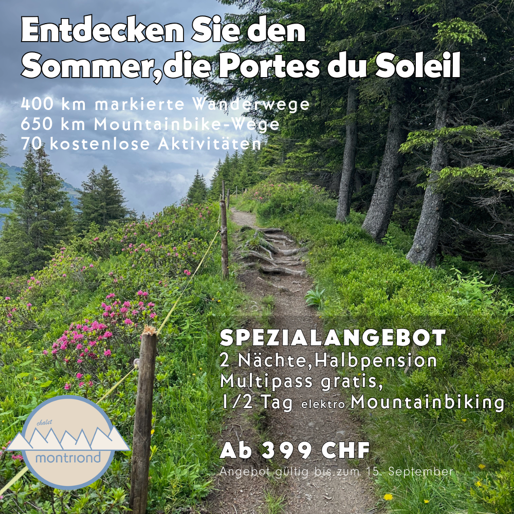 offre ete 5_de