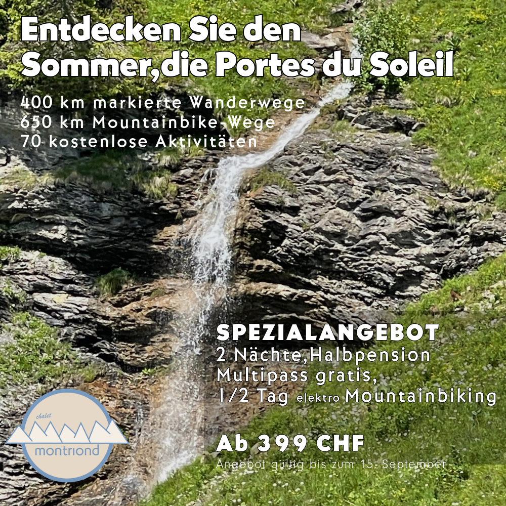 offre ete 6_de